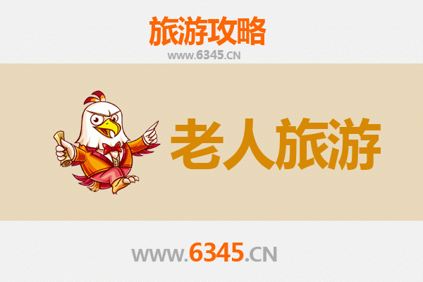 聊城高唐银龄漫游指南：古韵慢生活，孝心之旅
